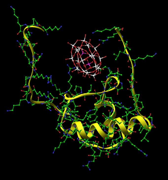 W18-Cluster bindung an einem Protein. Hier stabilisiert der Cluster die sonst flexiblen Enden und einen Loop. W18-Cluster bindung an einem Protein. Hier stabilisiert der Cluster die sonst flexiblen Enden und einen Loop.