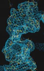 Ein Beispiel für eine RNA-Helix. Die berechnete Elektronendichte beinhaltet das Modell (gelb) der atomaren Struktur. Viele Details, z.B. einzelne Basen sind noch nicht zu sehen. Ein Beispiel für eine RNA-Helix. Die berechnete Elektronendichte beinhaltet das Modell (gelb) der atomaren Struktur. Viele Details, z.B. einzelne Basen sind noch nicht zu sehen.